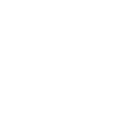 The College Athlete Network Foundation
